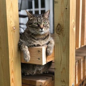 Meet your Posher, Tiffany